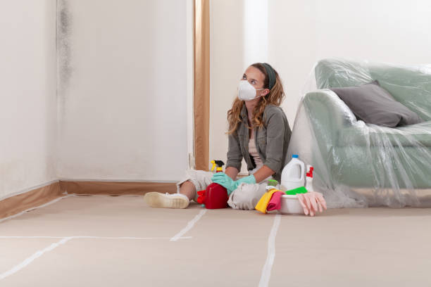 Reliable Black Mold Removal contractor in Massapequa, NY by WQB Mold Removal